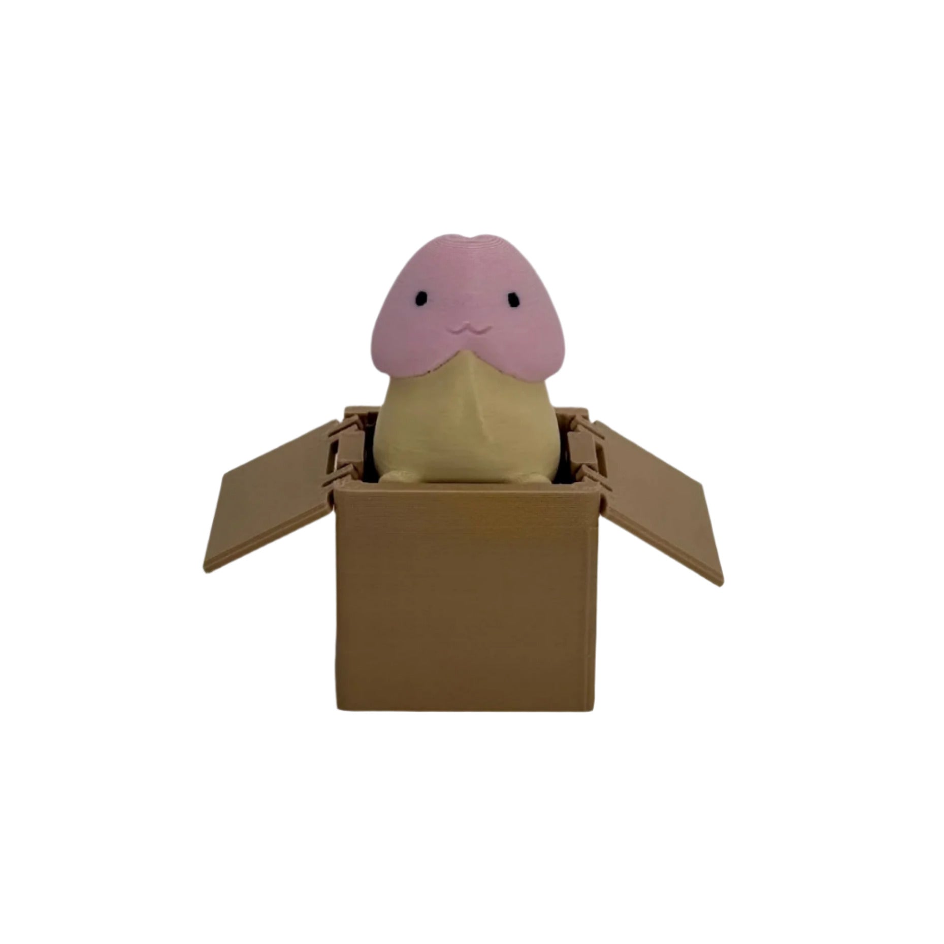 Funny cute 3d printed penis in a box